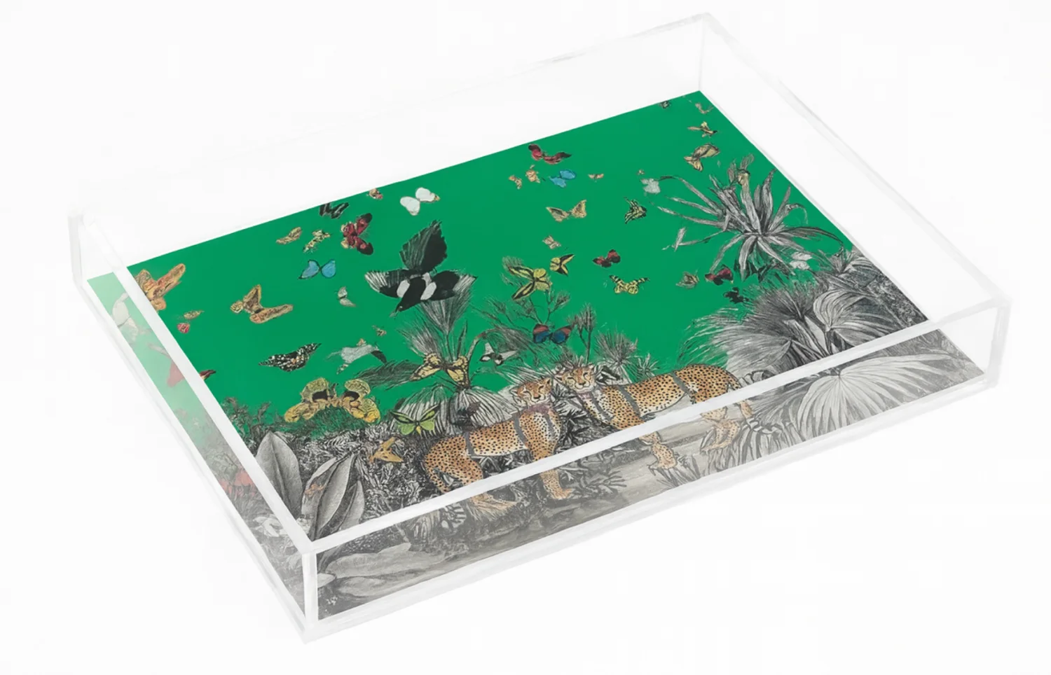 Acrylic Display Tray, Green Jungle Print - 3