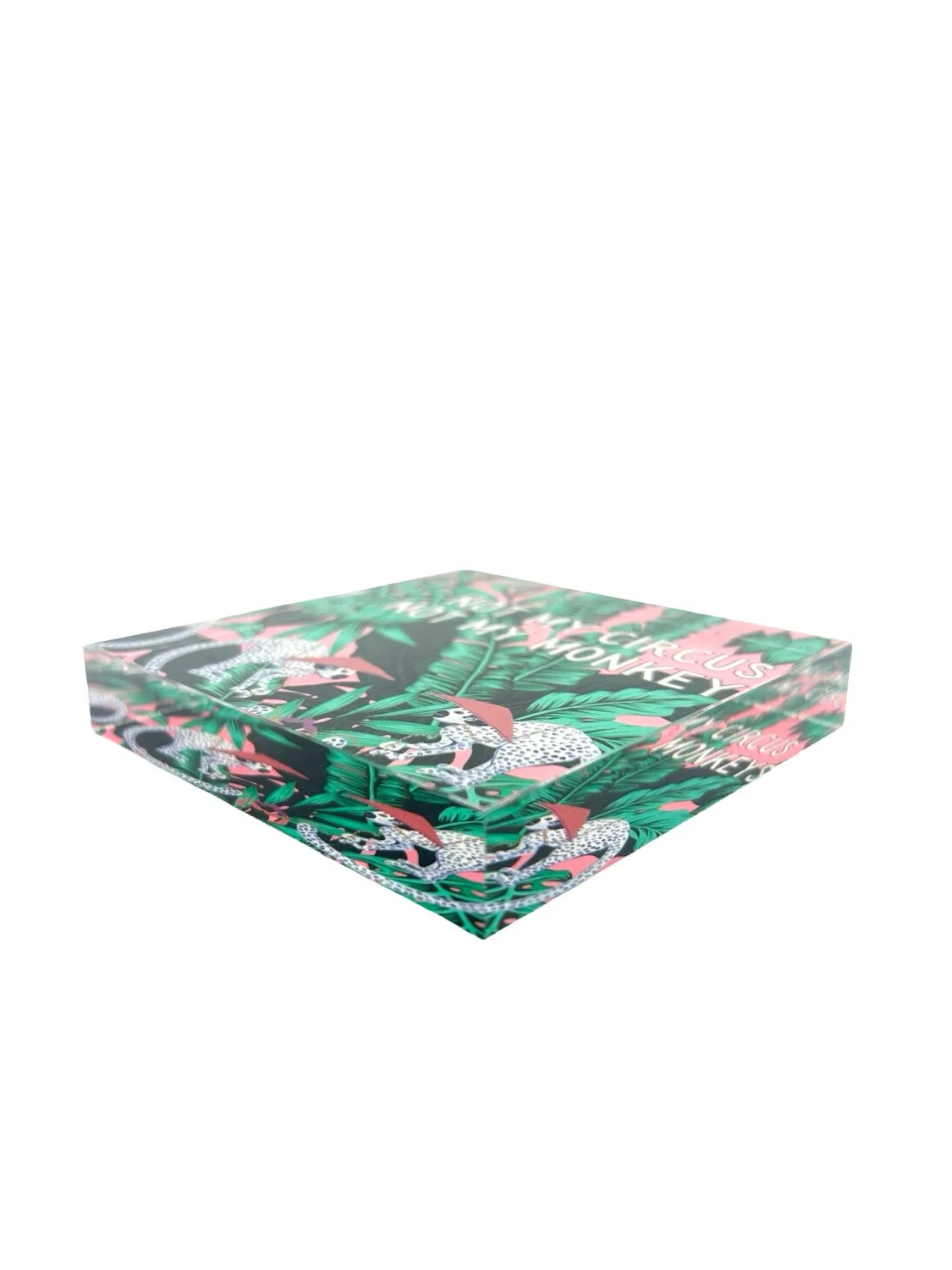 Desk Object, Circus - 7