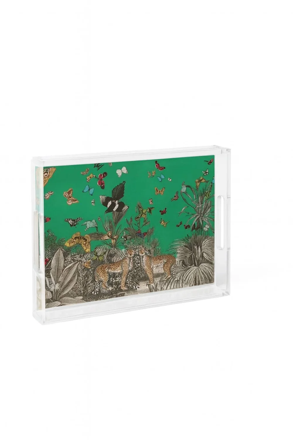 Acrylic Display Tray, Green Jungle Print - 4